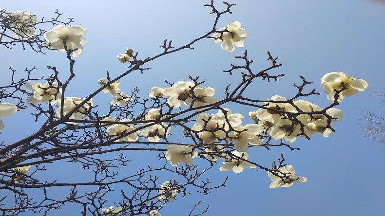 春游記特斯特奉上臺(tái)灣烤腸配方