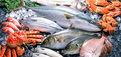 魚、蝦等海產(chǎn)品