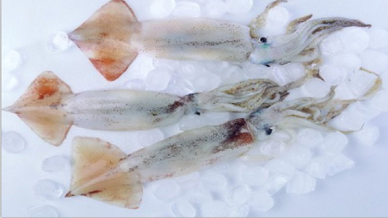 秘魯魷魚除酸劑-復(fù)配水分保持劑