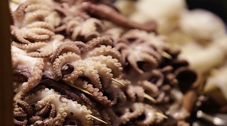 帶皮魷魚復(fù)配水分保持劑S107產(chǎn)品簡(jiǎn)介