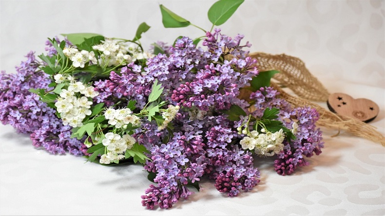 青島特斯特祝七夕快樂(lè)