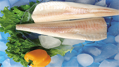 青島特斯特教您如何做出高出品好口感的巴沙魚