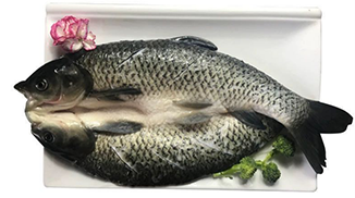 青島特斯特M81A開(kāi)背魚(yú)保水工藝