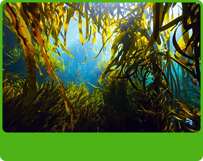 產(chǎn)品特性1