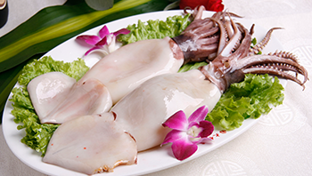 特斯特魷魚加工解決方案